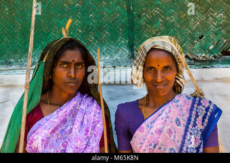 Teepflückerinnen bei Madupatty, nahe Munnar, in Kerala, Indien. Stockfoto