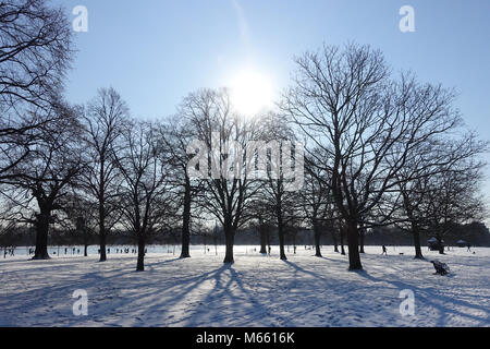 Blick auf die Silhouette von Bäumen im Park Kensington Gardens London werfen lange Schatten auf Schnee aus dem Tier aus dem Osten Kältewelle im Februar 2018 Stockfoto