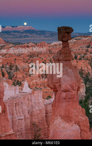 Mondaufgang, Thors Hammer, Bryce Canyon National Park, Utah Stockfoto