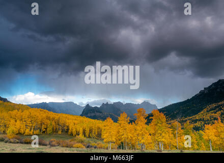 Approaching Storm, Espen, Cimarron Ridge, Abgrund Peak, Uncompahgre National Forest, Colorado Stockfoto