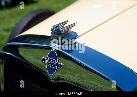 Markante Winger Aviator Kühlerdeckel oin eine historische Chevrolet Stockfoto