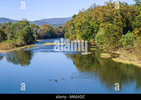 West Virginia, Appalachia Greenbrier County, Alderson, Greenbrier River Water, Gänse, Allegheny Mountains, Besucher reisen Reise Reise Tourismus la Stockfoto