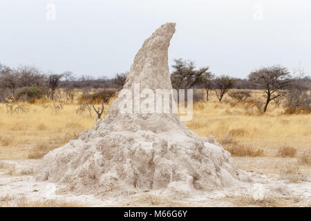 Termite Damm in Afrika, Etosha National Park, Namibia Stockfoto