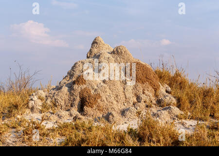 Termite Damm in Afrika, Etosha National Park, Namibia Stockfoto