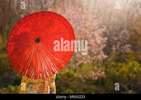 Porträt einer Frau, die in einem Cherry Orchard tragen traditionelle japanische Kimono Stockfoto