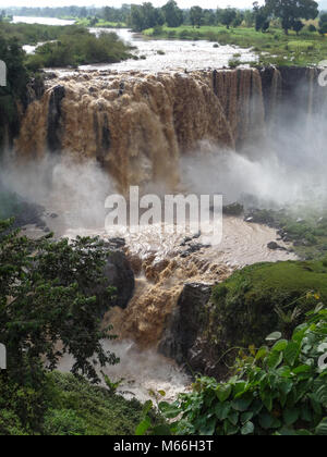 Blue Nile Falls, Amhara, Äthiopien Stockfoto