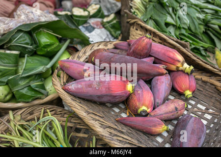 Banane Blumen auf einem auf dem Markt in Meghalaya Staat ausgeht, Nordosten von Indien Stockfoto