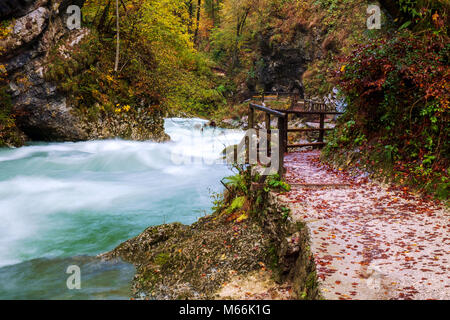 Wunderbare Schlucht Vintgar Canyon bei curlicue Fluss und schöne Herbstfarben und in Slowenien, Europa in der Nähe der See von Bled Stockfoto