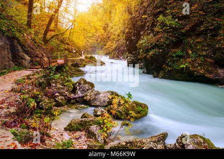 Wunderbare Schlucht Vintgar Canyon bei curlicue Fluss und schöne Herbstfarben und in Slowenien, Europa in der Nähe der See von Bled Stockfoto