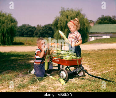 1960 BAUERNHOF KINDER KLEINE JUNGE MÄDCHEN LADEN ROTEN WAGEN MIT KORB mit Tomaten und Maiskolben - KF3100 HAR 001 HARS KAUKASISCHEN LIFESTYLE KORN WEIBCHEN BRÜDER LÄNDLICHEN HEIMAT LEBEN TRANSPORT KOPIE RAUM FREUNDSCHAFT halber Länge LANDWIRTSCHAFT GESCHWISTER DENIM SCHWESTERN TRANSPORT NOSTALGIE LANDWIRTSCHAFT ZWEISAMKEIT SOMMER 7-9 JAHRE ZIELE 5-6 JAHRE YOUNGSTER GLÜCK NÄHREN WACHSTUM GESCHWISTER ZUSAMMENARBEIT WACHSEN NAHRUNG BLUE JEANS JUNGEN MÄNNER KAUKASISCHEN ETHNIE SPELZEN ALTMODISCHE PERSONEN TOMATEN Stockfoto