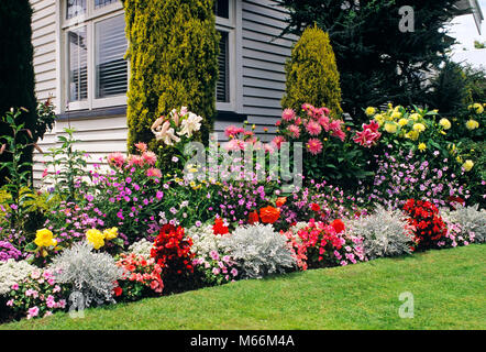 1990 s blühenden Blumen IN EINEM BUNGALOW GARTEN CHRISTCHURCH NEUSEELAND - kg 11304 SCH001 HARS WACHS SPIRITUALITÄT PLANER NOSTALGIE WINDOWS BUNTE ERFOLG LILA GLÜCK COTTAGE HOBBY FREIZEIT SKULPTUR STRATEGIE AUSSEN MOM NIEMAND ERHOLUNG CHRYSANTHEME HIBISCUS STOLZ 1990 s CYPRESS LILY KREATIVITÄT NOCH LEBEN WÄRME ANORDNUNG GRASARTIGEN GARTENBAU MARSH UNGEWÖHNLICHE VIELFALT BESTELLT ABWECHSLUNGSREICHE BLOOM SCHALBRETT Farben WIDMUNG STAUBIGEN WOHNUNG LANDSCHAFTSGESTALTUNG SUMPFDOTTERBLUME MILLER BUNTE NEUSEELAND NZ MEHRJÄHRIG PETUNIA RIOTOUS ABSTELLGLEIS SOUTH PACIFIC SPECIE TRAVEL NEUSEELAND KNÖTCHENFÖRMIGE TUBEROUS BEGONIA Stockfoto