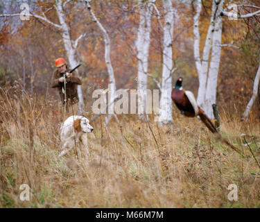 1960er Jahre 1970er Jahre Mann Jäger, die SCHROTFLINTE am Fasan GESPÜLT AUS DER BÜRSTE DURCH ENGLISH SETTER BIRD DOG IM HERBST LANDSCHAFT - kg 6135 PHT 001 HARS NUR EINE PERSON PLATZ KOPIEREN, halbe Länge körperliche Fitness SCENIC ERWACHSENEN TIERE JÄGER NOSTALGIE JAGD 20-25 Jahre 25-30 Jahre 30-35 Jahre 35-40 Jahre FREIHEIT MENSCHEN GESCHICHTE FLÜGEL GLÜCK FASAN ZWEI TIERE SÄUGETIERE ABENTEUER FREIZEIT ENTSPANNUNG FANGZÄHNE WAHL AUFREGUNG LEISTUNGSSTARKE ERHOLUNG HERBST JAHRESZEIT GELEGENHEIT HÜNDCHEN ENGLISH SETTER BEWEGUNGSUNSCHÄRFE WARMBLÜTIGER WIRBELTIERE Phasianus colchicus OSHA ORANGE SICHERHEIT orange leuchtend orange, die Vögel HUNDE KREATUR Stockfoto