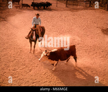 1960 COWBOY MANN RANCHER ZU PFERD BRICHT EIN LENKEN AUS DER HERDE - kh 1792 HAR 001 HARS GROWN-UP VEREINIGTE STAATEN VON AMERIKA CHARAKTER GEFAHR LANDWIRTSCHAFT RISIKO WESTERN TIERE BERUF UNTERHALTUNG NOSTALGIE LANDWIRTSCHAFT 30-35 Jahre 35-40 JAHRE VIEH BRECHEN SKILL REITEN BERUF FÄHIGKEITEN ZWEI TIERE HOHEN WINKEL GEFÄHRLICHE KARRIERE ARBEITSMARKT RISKANT BESCHÄFTIGUNG WACHSEN LENKEN MITARBEITER EQUINE KREATUR HERDE MÄNNER SÄUGETIER Mitte - Mitte - erwachsenen Mann TIERE PFERDE KAUKASISCHEN ETHNIE ARBEITENDEN BERUFE ALTMODISCHE PERSONEN RANCHER RANCHING Stockfoto