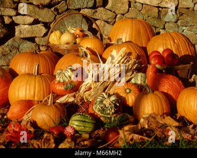 Herbst ERNTE DER SAISON NOCH LEBEN KÜRBISSE MAIS ÄPFEL SQUASH ANGEHÄUFT LEGTE VOR STONE FENCE-KH7344 HAR 001 HARS STONE FENCE Stockfoto