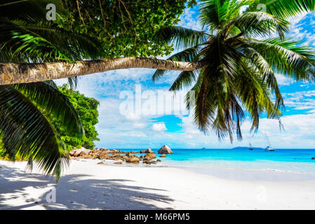 Unglaublich schönes Paradies Strand. weißer Sand, türkises Wasser, Palmen am tropischen Strand Anse Lazio, Praslin, Seychellen Stockfoto