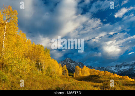 Sonnenuntergang, Aspen, Populus tremula, Mount Sneffels, Dallas Divide, Uncompahgre National Forest, Colorado Stockfoto