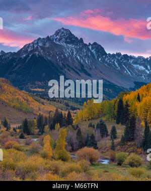 Dawn, Aspen, Willow Sumpf, Mount Sneffels, Uncompahgre National Forest, Colorado Stockfoto