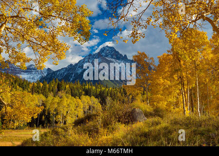 Aspen, Populus tremula, Mount Sneffels, Dallas Divide, Uncompahgre National Forest, Colorado Stockfoto