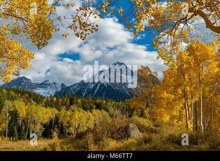 Aspen, Populus tremula, Mount Sneffels, Dallas Divide, Uncompahgre National Forest, Colorado Stockfoto