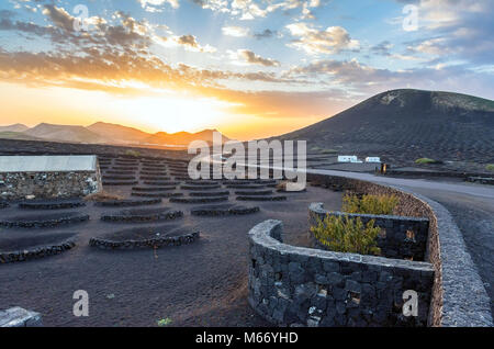 Lanzarote, Spanien - 27. Dezember 2016: Atemberaubende Landschaft mit Sonnenuntergang auf vulkanischen Weinberge in La Geria, Lanzarote. La Geria ist der berühmteste Wein ar Stockfoto