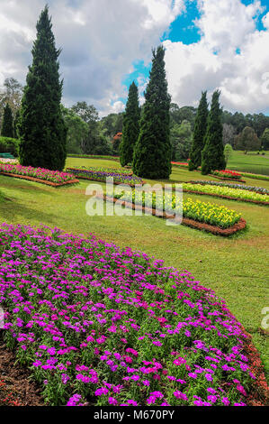 Beutifully gestalteten Blumenbeeten, Rasen und üppigen Bäumen an der Nationalen Kandawgyi Gärten, Pyin Oo Lwin, Myanmar. Stockfoto