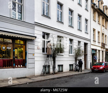 Berlin, Mitte. Städtischen Gärtner stehen auf Leiter & Fräsen Rosenbusch außerhalb der Gebäude in der Stadt. Stockfoto