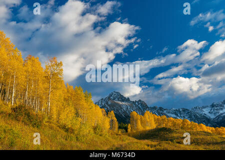 Sonnenuntergang, Aspen, Populus tremula, Mount Sneffels, Dallas Divide, Uncompahgre National Forest, Colorado Stockfoto