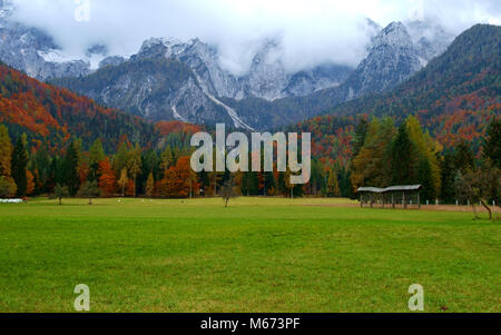 Schönen Herbst Landschaft am Fuße des Mangart Berg in Slowenien Stockfoto