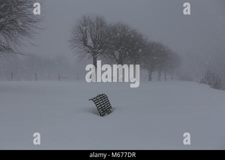 Peebles, Schottland. 1 Mär, 2018. UK Wetter: Bänke in tiefem Schnee auf Tweed Green in Peebles, Schottland begraben folgenden roten Alarm von Tier des Ostens extreme Wetter event Credit: Edward Shoote/Alamy leben Nachrichten Stockfoto