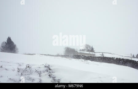 Nidderdale, North Yorkshire. 1. März 2018. UK Wetter: Heftige Ostwinde Haufen Schnee zu driften, Landwirtschaft schwierig. Credit: Fencewood Studio/Illustrative/Alamy leben Nachrichten Stockfoto