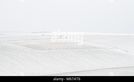 Brighton, UK. 1. März 2018. UK Wetter: Malerische Schnee Blick über die South Downs Nördlich von Brighton als "das Tier aus dem Osten' arctic Blast und Sturm Emma den über das Land verteilten: Simon Dack/Alamy leben Nachrichten Stockfoto