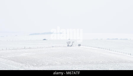 Brighton, UK. 1. März 2018. UK Wetter: Malerische Schnee Blick über die South Downs Nördlich von Brighton als "das Tier aus dem Osten' arctic Blast und Sturm Emma den über das Land verteilten: Simon Dack/Alamy leben Nachrichten Stockfoto