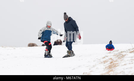 Brighton, UK. 1. März 2018. UK Wetter: Rodeln und Snowboarden auf den South Downs Nördlich von Brighton heute als "das Tier aus dem Osten' arctic Blast und Sturm Emma über das Land Foto von Simon Dack: Simon Dack/Alamy Leben Nachrichten genommen Stockfoto