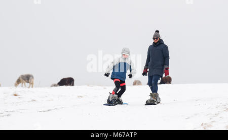 Brighton, UK. 1. März 2018. UK Wetter: Rodeln und Snowboarden auf den South Downs Nördlich von Brighton heute als "das Tier aus dem Osten' arctic Blast und Sturm Emma über das Land Foto von Simon Dack: Simon Dack/Alamy Leben Nachrichten genommen Stockfoto