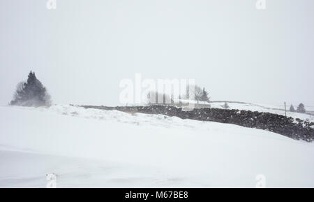 Nidderdale, North Yorkshire. 1. März 2018. Heftige Ostwinde Haufen Schnee zu driften, Landwirtschaft schwierig in Nidderdale, North Yorkshire Credit: Fencewood Studio/Illustrative/Alamy leben Nachrichten Stockfoto