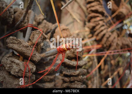 North Kolkata, Indien. 29. Februar 2018. Nerapora Ritual im Holi, Festival der Farbe Feier. Credit: Rupa Ghosh/Alamy Leben Nachrichten. Stockfoto