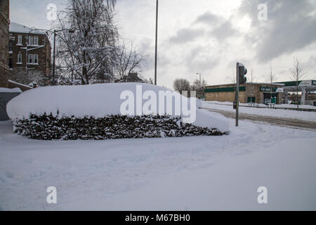 Glasgow, Schottland, Großbritannien. 1. März, 2018. ​The rot Wetterwarnung für Zentrale Schottland hat bestanden, aber der starke Schneefall hat der Stadt Glasgow zu einer fast zum Stillstand gebracht. Viele Unternehmen sind aufgrund der Wetter geschlossen. Öffentliche Verkehrsmittel Mit der Bahn und Bus sind ausgesetzt. Tiefer Schnee Formulare auf Büschen. © Garry Cornes/Alamy leben Nachrichten Stockfoto