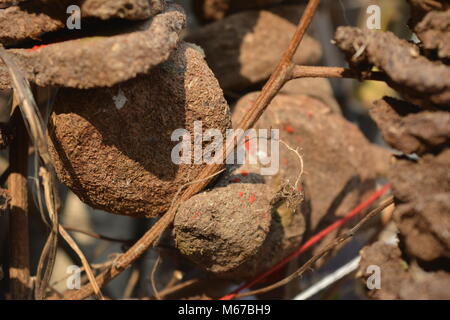 North Kolkata, Indien. 29. Februar 2018. Nerapora Ritual im Holi, Festival der Farbe Feier. Credit: Rupa Ghosh/Alamy Leben Nachrichten. Stockfoto