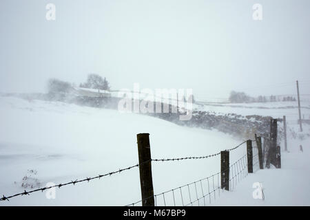 Nidderdale, North Yorkshire. 1. März 2018. Heftige Ostwinde Haufen Schnee zu driften, Landwirtschaft schwierig in Nidderdale, North Yorkshire Credit: Fencewood Studio/Illustrative/Alamy leben Nachrichten Stockfoto