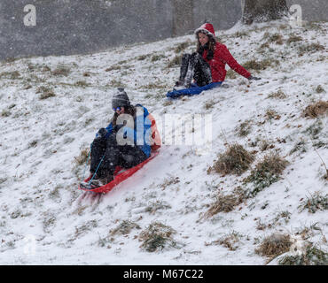 Honiton, Devon, 1. März 18 ein Mädchen aus Rodeln auf einer Bank in der Byes bei Sidmouth, wie das Tier aus dem Osten trifft Sturm Emma über South West England. Devon und Cornwall erwarten mehrere Zentimeter Schnee in den nächsten Stunden. Schnee ist eine große rareity auf das Devon Coast - Sidmouth hat keine hatten seit dem Winter 2010/11. Foto Central/Alamy leben Nachrichten Stockfoto