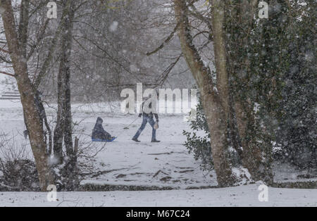 Honiton, Devon, 1. März 18 Menschen in der Byes bei Sidmouth asder Tier aus dem Osten trifft Sturm Emma über South West England. Devon und Cornwall erwarten mehrere Zentimeter Schnee in den nächsten Stunden. Schnee ist eine große rareity auf das Devon Coast - Sidmouth hat keine hatten seit dem Winter 2010/11. Foto Central/Alamy leben Nachrichten Stockfoto