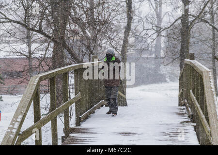 Honiton, Devon, 1. März 18 Menschen in der Byes bei Sidmouth asder Tier aus dem Osten trifft Sturm Emma über South West England. Devon und Cornwall erwarten mehrere Zentimeter Schnee in den nächsten Stunden. Schnee ist eine große rareity auf das Devon Coast - Sidmouth hat keine hatten seit dem Winter 2010/11. Foto Central/Alamy leben Nachrichten Stockfoto