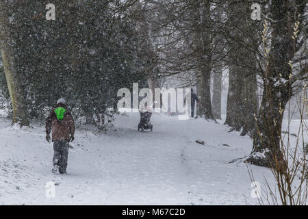 Honiton, Devon, 1. März 18 Menschen in der Byes bei Sidmouth asder Tier aus dem Osten trifft Sturm Emma über South West England. Devon und Cornwall erwarten mehrere Zentimeter Schnee in den nächsten Stunden. Schnee ist eine große rareity auf das Devon Coast - Sidmouth hat keine hatten seit dem Winter 2010/11. Foto Central/Alamy leben Nachrichten Stockfoto
