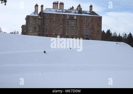 Dalkeith, UK, 1. März 2018: Rodeln im Dalkeith Country Park an der angestammten Heimat des Herzog von buccleuch Credit: Ian Tat/Alamy leben Nachrichten Stockfoto