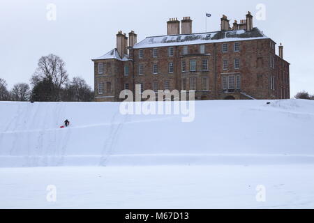 Dalkeith, UK, 1. März 2018: Eltern und Kind Rodeln im Dalkeith Country Park an der angestammten Heimat des Herzog von buccleuch Credit: Ian Tat/Alamy leben Nachrichten Stockfoto