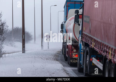 Das Tier aus dem Osten ein 19 Schließung Stockfoto