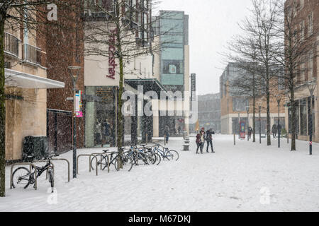 Exeter, Devon, Großbritannien. 1. März 2018. UK Wetter. Exeter in den schweren Schnee vom Sturm Emma Credit: Sebastian Wasek/Alamy leben Nachrichten Stockfoto