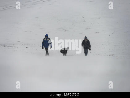 Southampton, Großbritannien. 1. März, 2018. Donnerstag, 1. März 2018 UKsnow West Wellow Southampton, England. Ein paar und deren Hund spazieren im Schnee von Kanada gemeinsame West Wellow in der Nähe des neuen Waldes in einem fast weiß, als Sturm Emma bis peitschen Schnee Verwüstung in der Gegend. Sturm Emma kombiniert mit dem "Tier aus dem Osten' hits West Wellow, Romsey Hampshire am späten Nachmittag verursacht Chaos auf der A36 die Hauptroute von Southampton nach Salisbury. Autos und Lastwagen auf die vielen Hügel blockiert Verkehr stecken geblieben. Credit: PBWPIX/Alamy leben Nachrichten Stockfoto