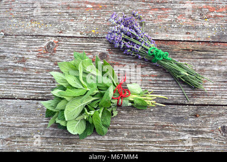 Frische Minze und Lavendel medizinische Kräuter Bündel auf alten hölzernen Hintergrund Stockfoto
