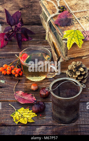 Tasse Kräutertee inmitten der Bündel Bücher der alten im Herbst Stil Stockfoto